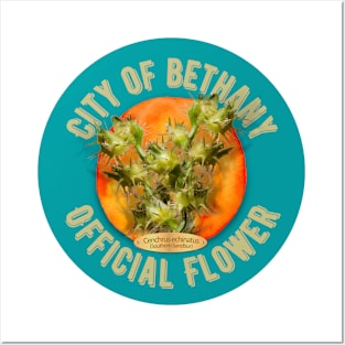 City of Bethany Official Flower Posters and Art